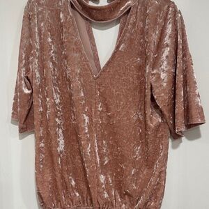 Veronica M Velvet Top in Blush Pink 0030